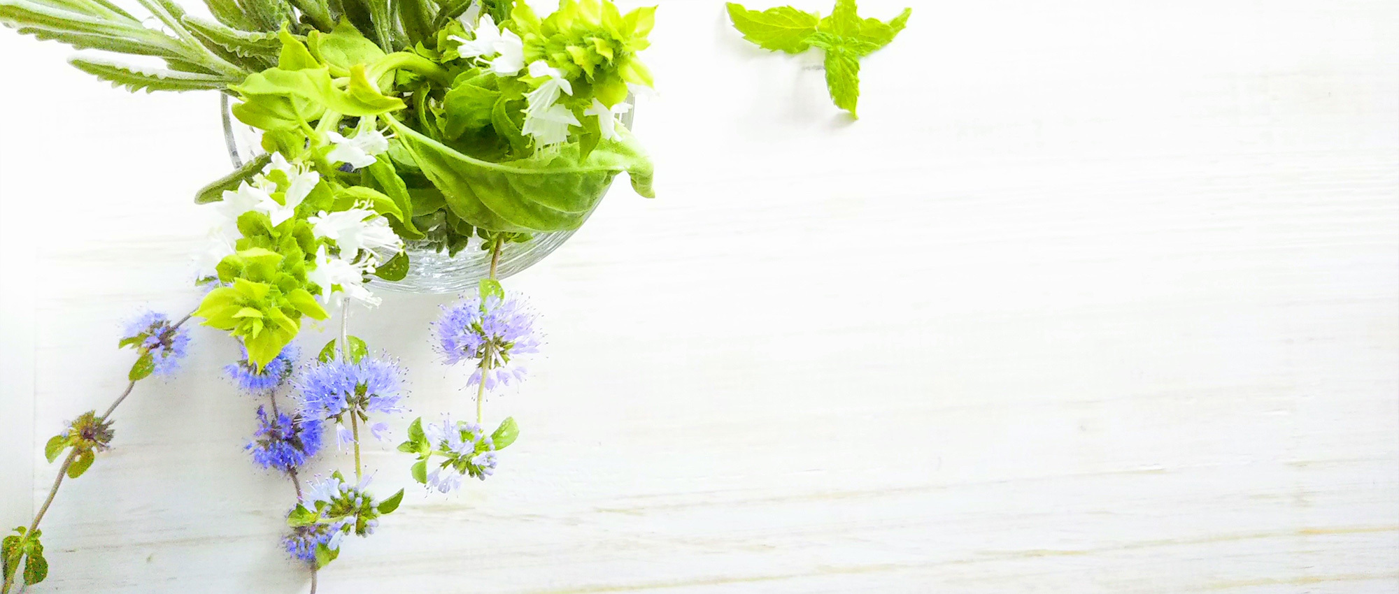 尾張旭市印場元町 印場駅 内科 小児科 人工透析内科